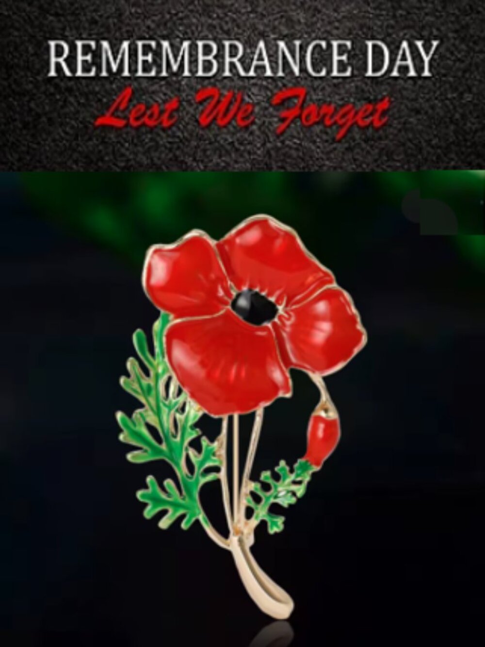 🌺50% Proceeds go to The Legion Poppy Fund🌺